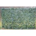 Lierre Artificiel Filet 200*300