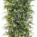 Bambou Artificiel NEW Haie Socle 95