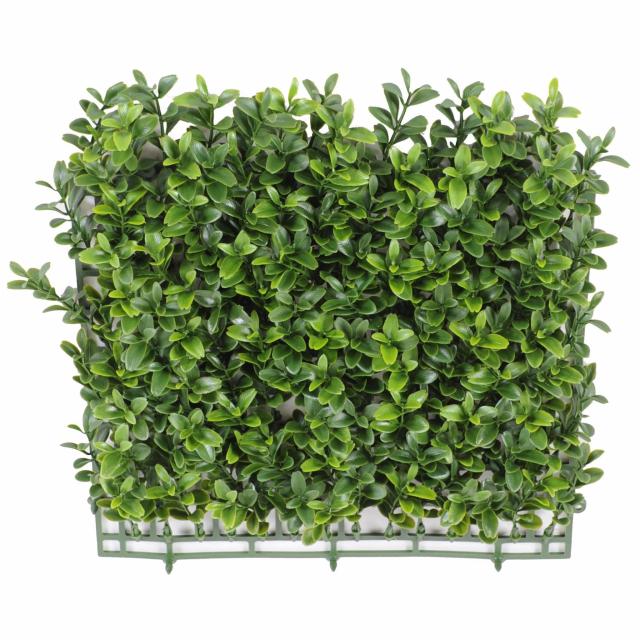 Buis Artificiel Plaque 140 Feuilles NEW - Buis Artificiel Plaque NEW *140