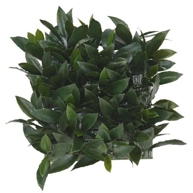 Feuillage Laurier Nobilis en Plaque UV - Laurier Nobilis Artificiel Plaque UV
