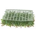 Ruscus Plaque
