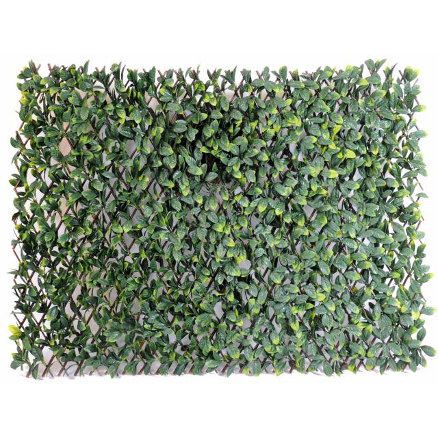 Charme Artificiel Palissade Grandes Feuilles - Charme GF Palissade