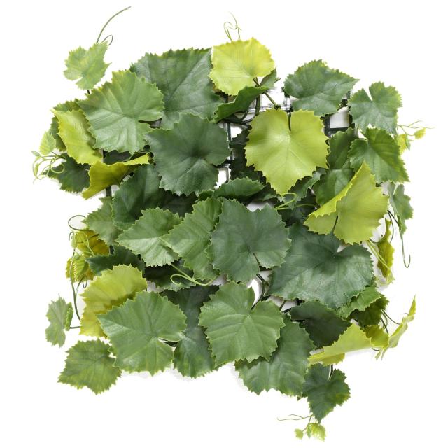 Vigne Artificielle en Plaque PLAST 45 Feuilles UV - Vigne Artificielle Plaque Plast*45 UV