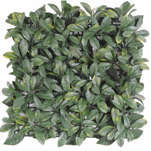 Cornouiller Plaque Artificielle - Cornouiller Artificiel Plaque 50*50