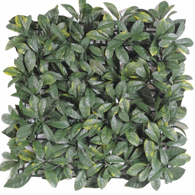 Cornouiller Artificiel Plaque 50*50