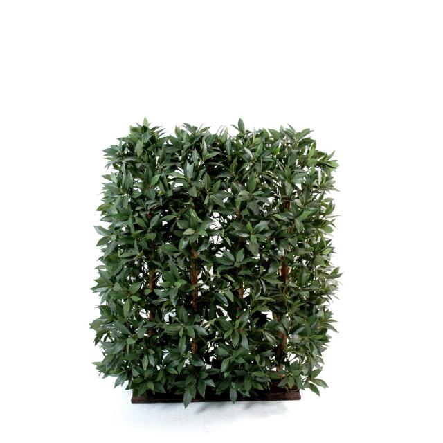 Laurier Artificiel Haie 120 cm - Laurier Artificiel Haie Ttes Faces