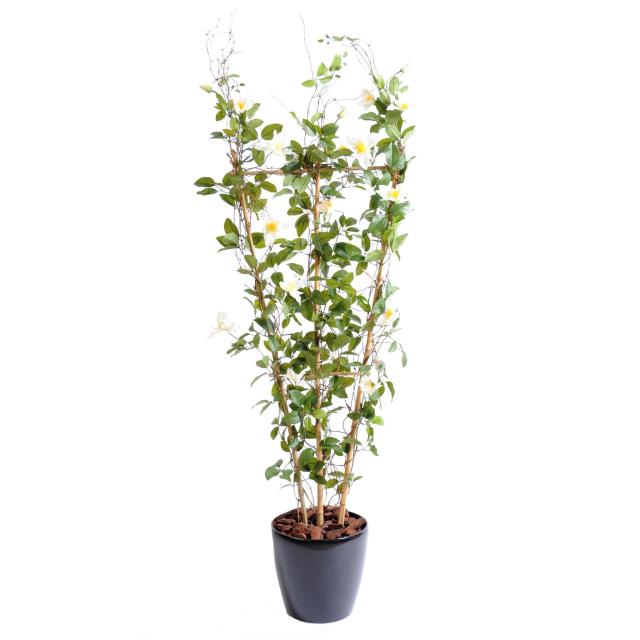 Clematite Artificielle Palissade - Clematite Artificielle Palissade
