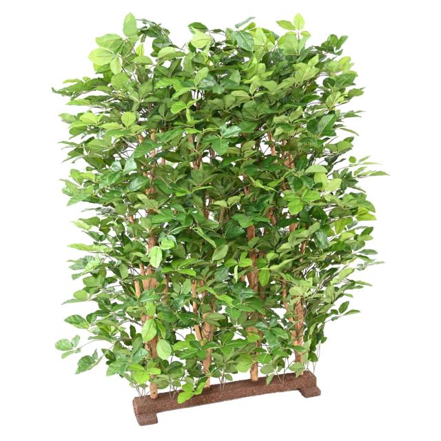 Hêtre Artificiel Grandifolia Haie 145 - Hetre Artificiel Grandifolia Haie 145