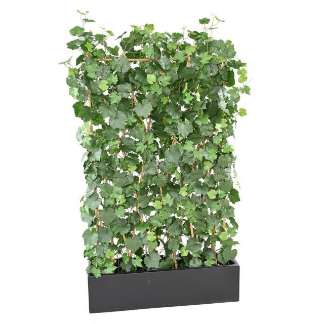 Vigne Artificielle Haie PLAST UV Resistant - Vigne Artificielle Haie PLAST UV Resistant